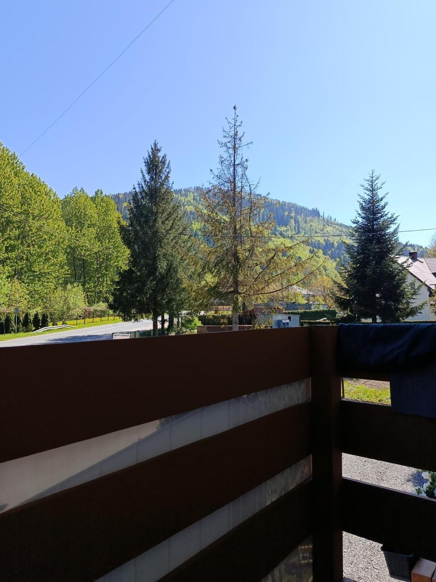 Beskidzka Guest House Szczyrk Eksteriør billede